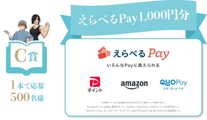 C賞 1本で応募 500名様 えらべるPay1,000円分 えらべるPay いろんなPayに換えられる PayPayポイント amazon クオ・カードペイ ※掲載ブランドと商品数は付与されるポイント数によって異なります。PayPayポイントは出金、譲渡不可です。PayPay/PayPayカード公式ストアでも利用可能です。「QUOカードPay」もしくは「クオ・カードペイ」およびそれらのロゴは㈱クオカードの登録商標です。